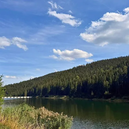 Zur Talsperre | Furtwangen Im Schwarzwald | Hunde Willkommen | 20 Personen Vöhrenbach