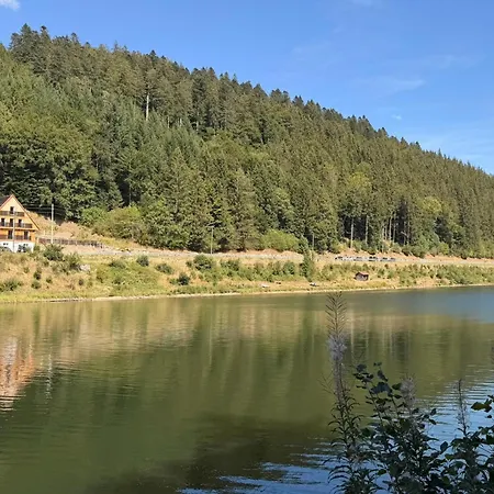 Zur Talsperre | Furtwangen Im Schwarzwald | Hunde Willkommen | 20 Personen *