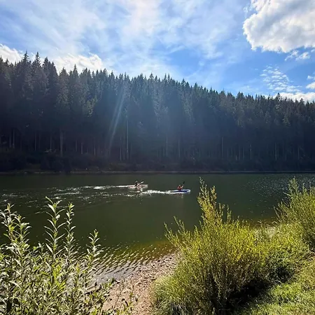 Vakantiehuis Zur Talsperre | Furtwangen Im Schwarzwald | Hunde Willkommen | 20 Personen