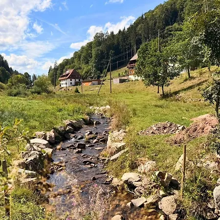 Zur Talsperre | Furtwangen Im Schwarzwald | Hunde Willkommen | 20 Personen