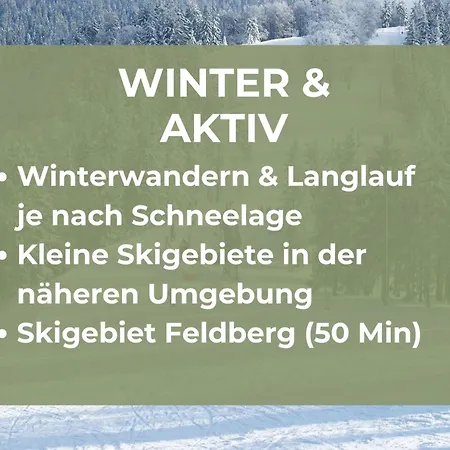 Vakantiehuis Zur Talsperre | Furtwangen Im Schwarzwald | Hunde Willkommen | 20 Personen Vöhrenbach